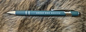 ADGAS pen with stylus in teal