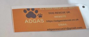 ADGAS Bumper Sticker