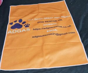 Official ADGAS Logo T-Towel