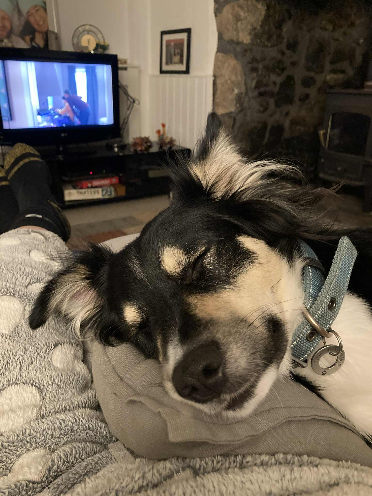 Dylan